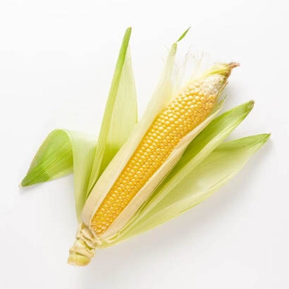 Кукурудза в лусці на білому фоні - 89 АХА 1