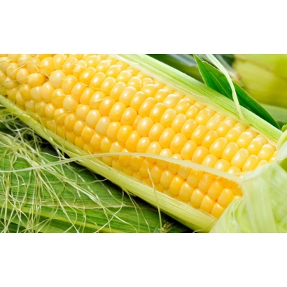 Желтая кукуруза в шелухе - 94 ИЗИ 14