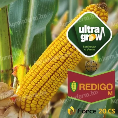 Кукурудза REDIGO M з логотипом Ultra Grow - АГРАМ