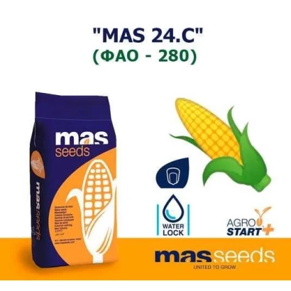 Пакет семян кукурузы MAS 24.C от mas seeds - Агро Стар