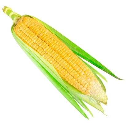 Кукуруза на белом фоне - Алмати