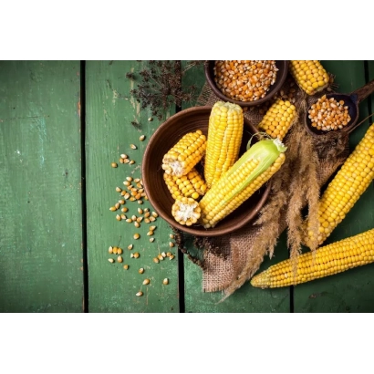 Кукуруза в деревянной миске на зелёном фоне - Амамонте