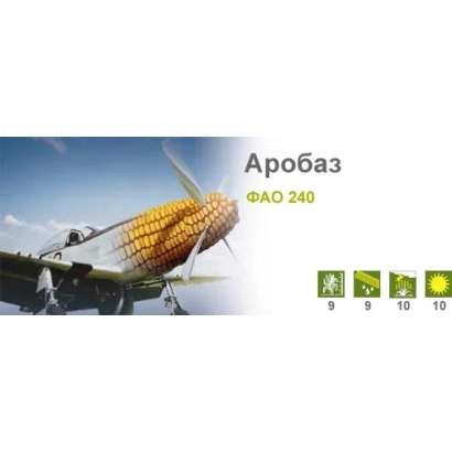 Коробка семян кукурузы Аробаз ФАО 240 на фоне поля