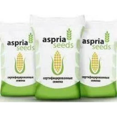Пакет семян кукурузы АС 13290 от бренда aspria Seeds