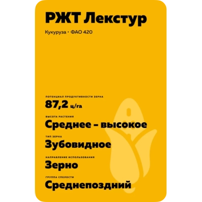 Семена кукурузы сорта РЖТ Лекстур, зерно среднеспелое, высокое содержание белка - АС 15250