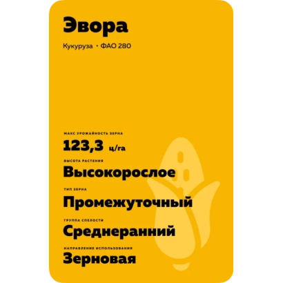 Пакет семян кукурузы Эвора АС 15280