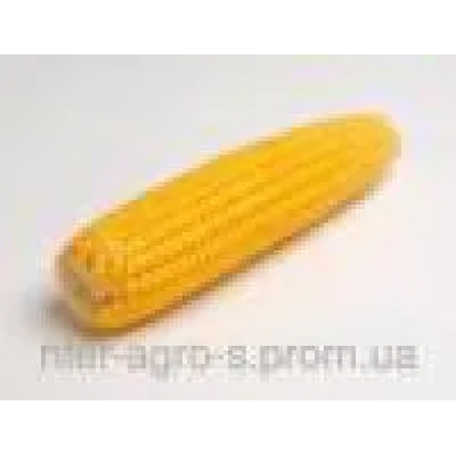 Желтая кукуруза на белом фоне - АС 32005