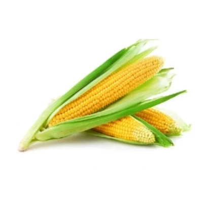 Свежая кукуруза в шелухе - АС 33034