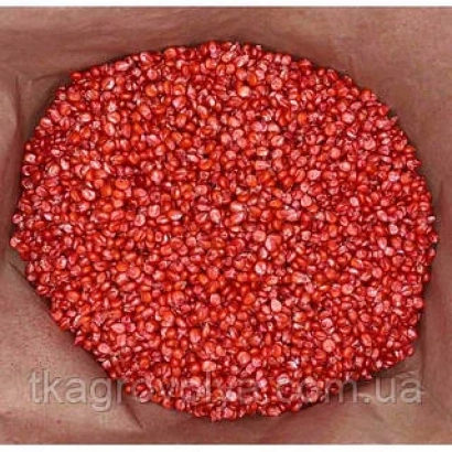 Крупный план красных семян кукурузы на коричневом фоне - АТЛАНТ СВ