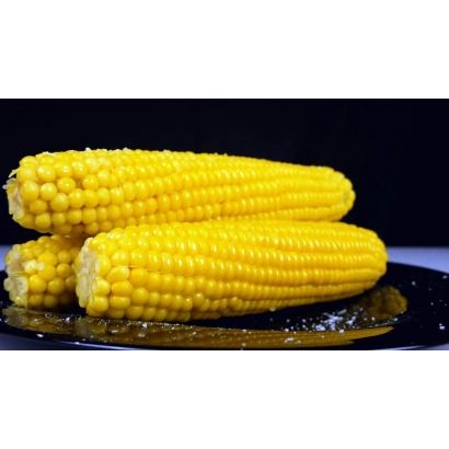 Желтая кукуруза на черном фоне - АВ 622