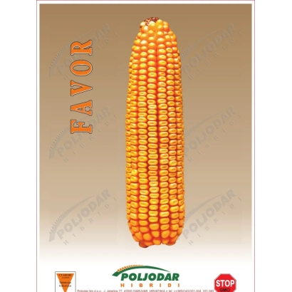 Кукуруза FAVOR от POLIJODAR - Бц 182