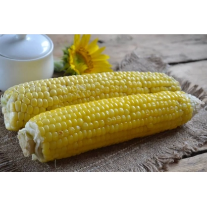 Два початки кукурудзи на дерев'яній поверхні з соняшником та банкою на задньому плані. - БЦ 304