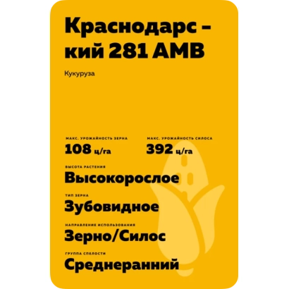 Пакет семян кукурузы Краснодарский 281 АМВ - БМ 281 АСВ