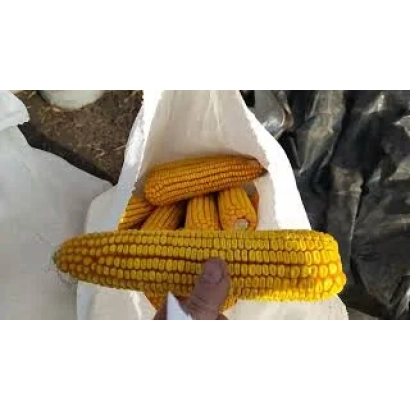 Желтая кукуруза в белой упаковке - ЦЕ 205-С