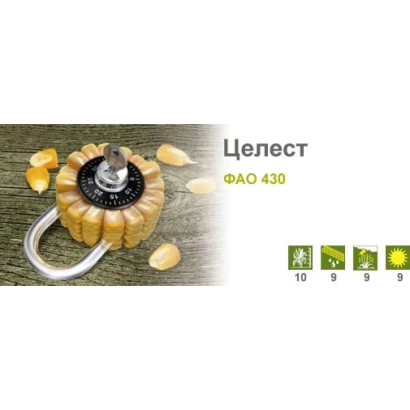 Упаковка семян кукурузы Целест ФАО 430