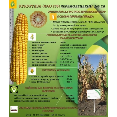 Пакет семян кукурузы Чемеровецький 260 СВ