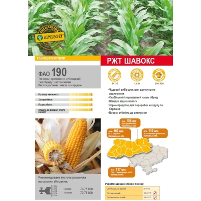 Пакет семян кукурузы РЖТ ШАВОКС с фото початка и схемой