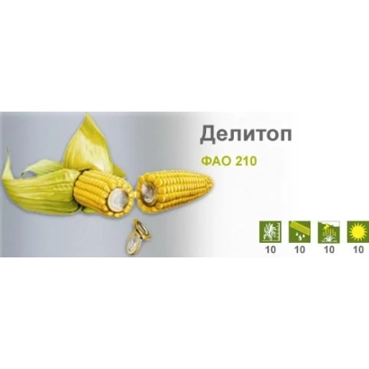 Кукуруза Делитоп ФАО 210