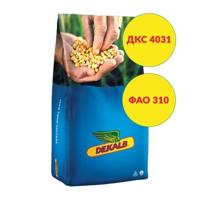 Синий мешок семян кукурузы ДКС 4031 с логотипом DEKALB и желтыми кругами с надписями ДКС 4031 и ФАО 310 - ДКС4031