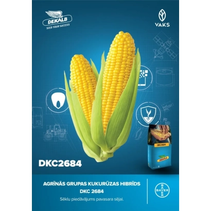 Упаковка кукурузы DKC 2684 с изображением початка и логотипом DeKalb - ДКС 2684
