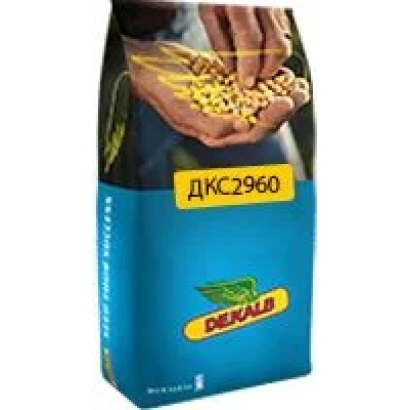 Мешок семян кукурузы ДКС 2960