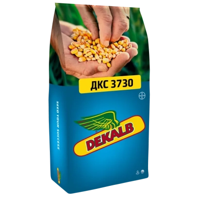 Мішок насіння кукурудзи ДКС 3730 від DeKalp