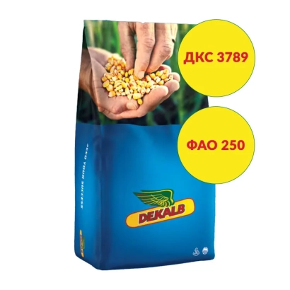 Мешок семян кукурузы ДКС 3789 от DeKalb