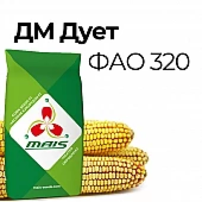 Seed packet of corn DM Duett FAO 320 with image of cobs