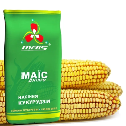 Bag of corn seeds MAIS Dnipro - DMC 3411