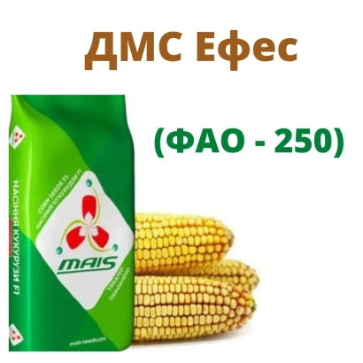 DMC Efes corn seed bag (FAO - 250) with corn cobs