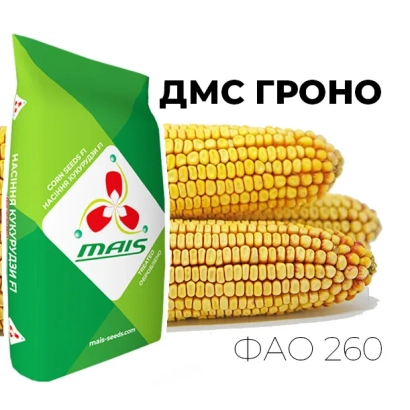DMS Grano corn seed bag with cobs illustration