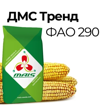 DMS Trend FAO 290 corn package with cobs illustration - DMS Target