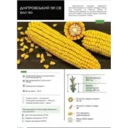 Пакет семян кукурузы Днепровский 181 СВ - Днепровский 145 МВ