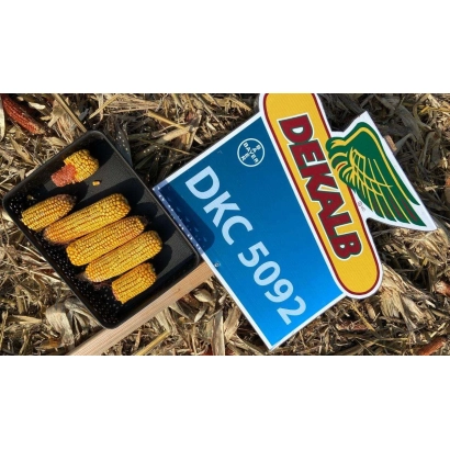 Упаковка насіння кукурудзи DKC 5092 від DeKalb на фоні соломи - ЕГ 2099 Х ЕГ 2123