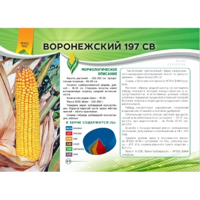 Пакет семян кукурузы Воронежский 197 СВ - Ельф 197 МВ