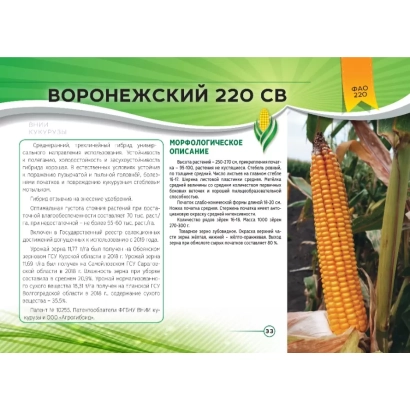 Семена кукурузы Воронежский 220 СВ на упаковке с описанием и фото початка