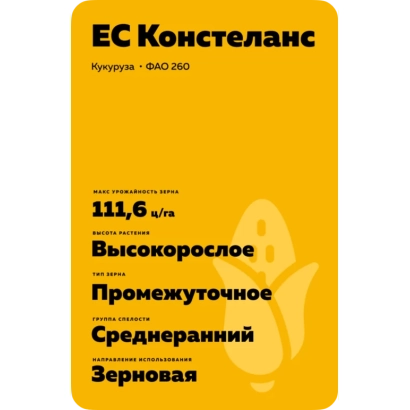 Пакет семян кукурузы ЕС Констанлан, сорт 7585