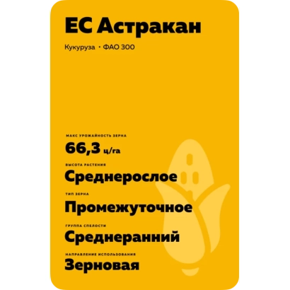 Пакет семян кукурузы ЕС Астракан