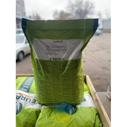 Bag of corn seeds ES CONCORD