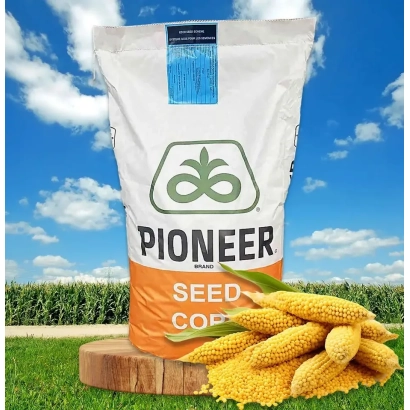 Пакет семян кукурузы Pioneer на фоне поля - ЕС ЗОРИОН