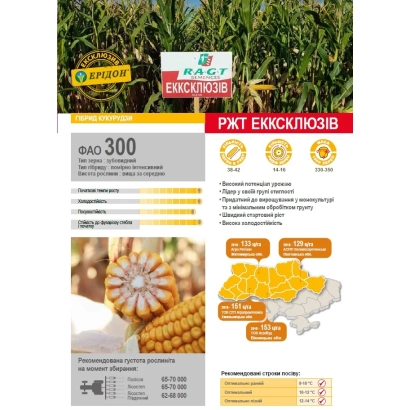 Пакет насіння кукурудзи ЕККСКЛЮЗІВ