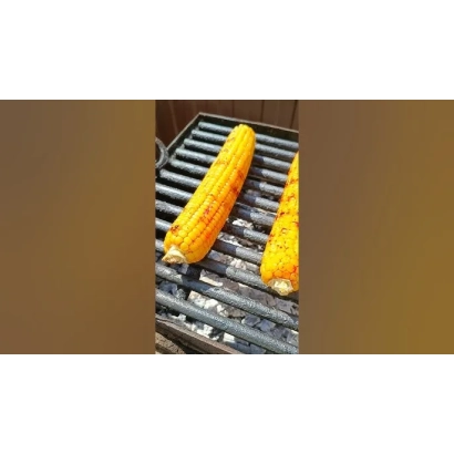 Corn on grill without packaging or label - FAKEL S