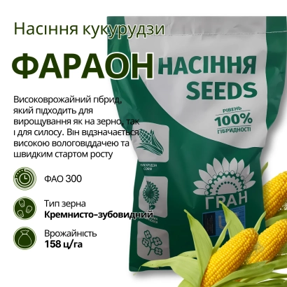 Пакет семян кукурузы Фараон с изображением початков и логотипом - ФИИ 650 Х ФИИ 643