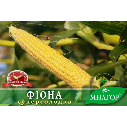 Желтая кукуруза Фіона на фоне листьев - Филу