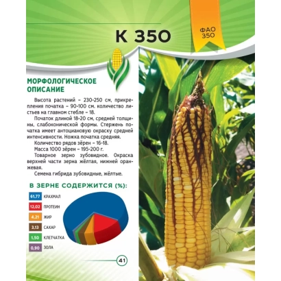 Пакет насіння кукурудзи K 350 з описом сорту та діаграмою вмісту білка - Фініш 350 ВК
