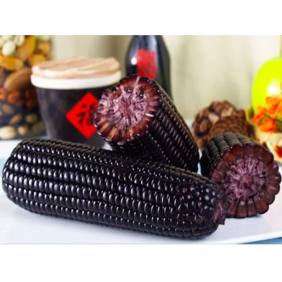 Черная кукуруза на белой тарелке с разрезанным стеблем - Фурор