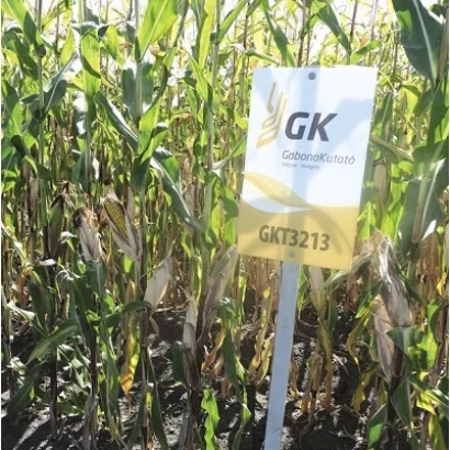 Знак с надписью GKT3213 на фоне кукурузного поля - ГКТ3213