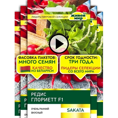 Seed packet of radish GLORIETT F1