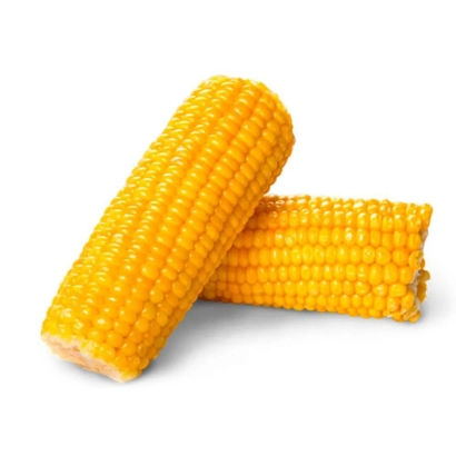 Два початка кукурузы на белом фоне - ГС 450