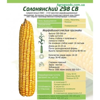Пакет семян кукурузы Солонянський 298 СВ - Харьковский 18 СВ